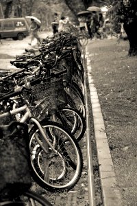 Bikes everywhere