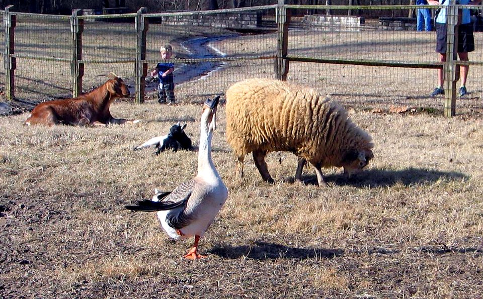 Suson Farms - January