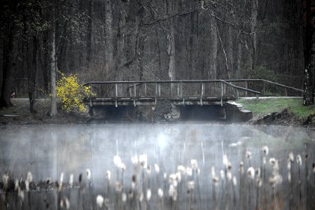 The Bridge and Pond at Val-Kill
