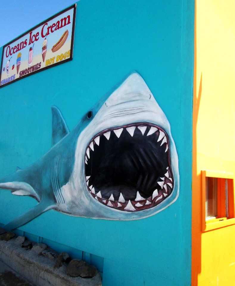 Great white shark mural