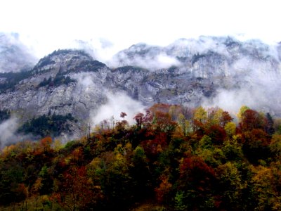 Swiss Valley Fog, Alps in Fall photo