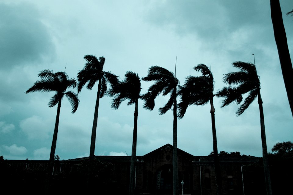 Three days before the typhoon coming