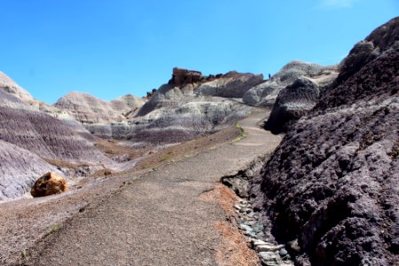 08-13-17 Blue Mesa Trail HL (37)