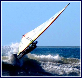 Wind Sailor, San Diego, California photo