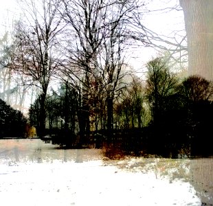 Schnee-Baum-Mischmasch