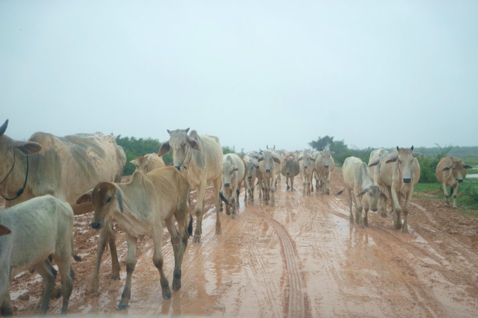 DSC04808