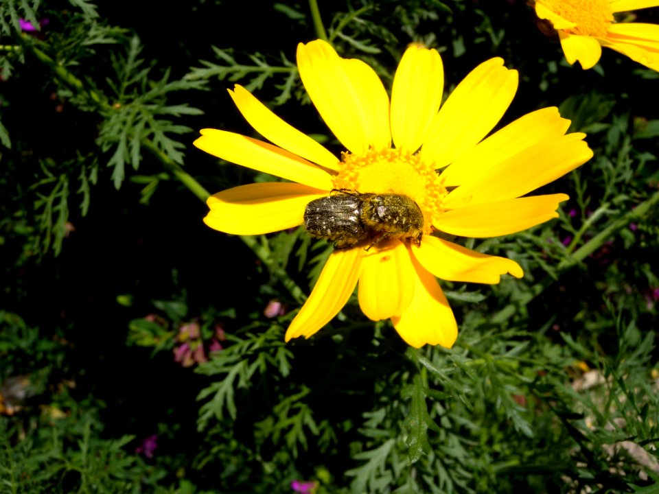 DSCN6623