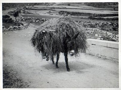 Benasque. 1936.