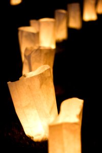 Illuminares Lantern Festival