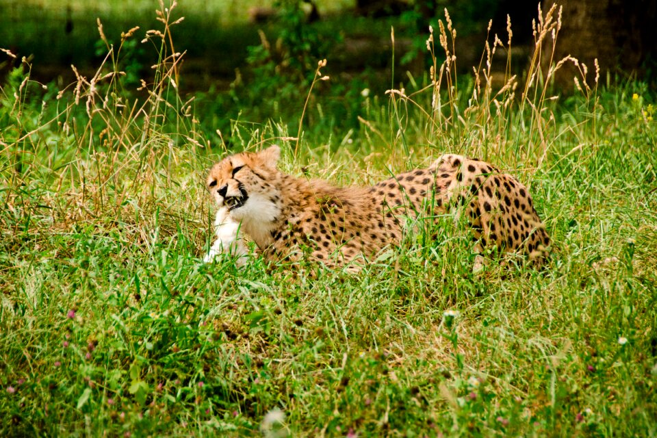 Nature vacations national park