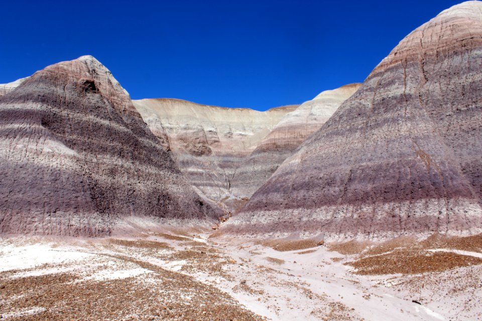 08-13-17 Blue Mesa Trail HL (22)