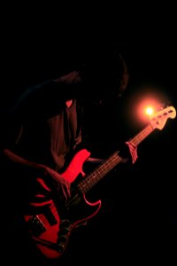 IMG 7431