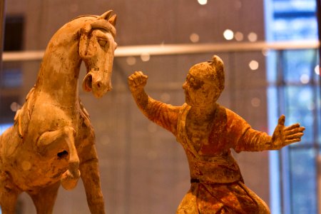 Royal Ontario Museum
