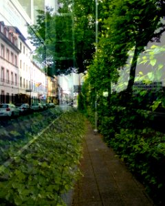 eingegrünt