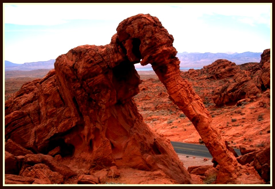 Elephant Rock, Valley of Fire, Nevada