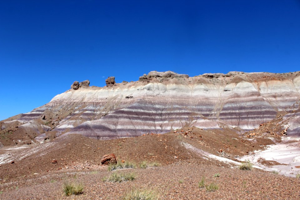 08-13-17 Blue Mesa Trail HL (25)