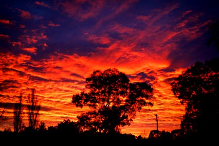 Wollondilly Big Day In