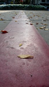 Freedom trail
