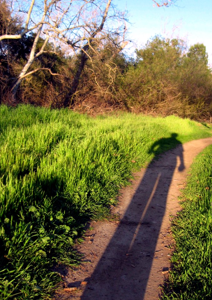 You Got To Walk That Lonesome Valley