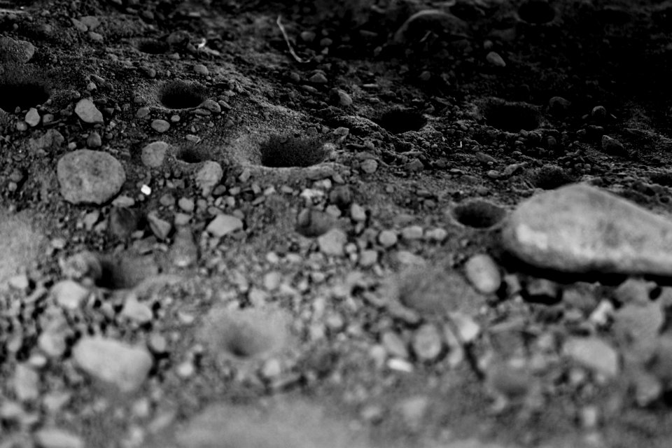 Moon surface on Earth
