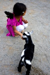 Feeding time