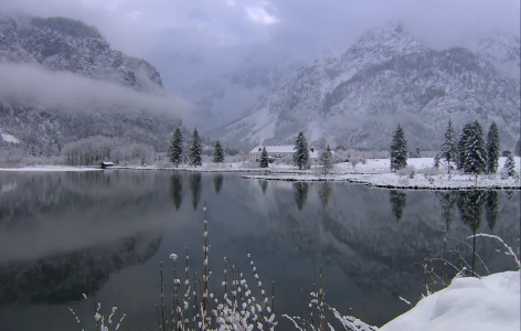 First Snow- Austria photo