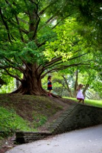Toronto Botanical Garden