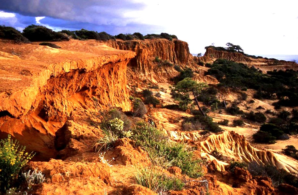 Broken Hill, Torrey Pines Park, San Diego