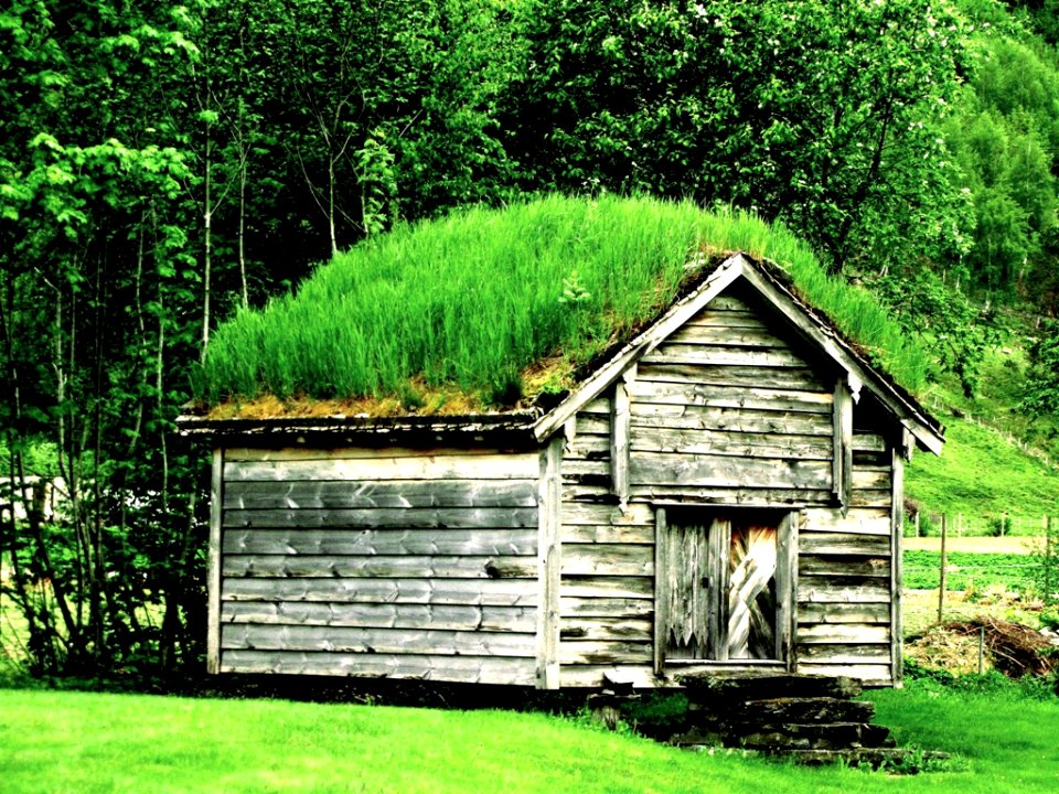 Grass Roof, Norway