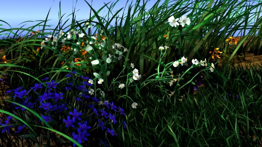 fllowers