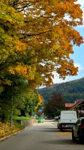 Bad Herrenalb im Herbst