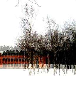 Baumgruppe III