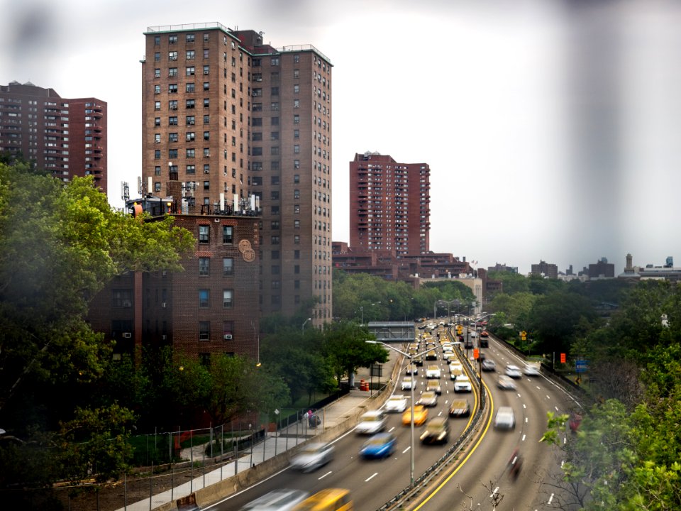 RandallsIsland-1