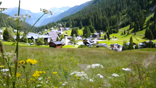 Welcoming Spring-Austria