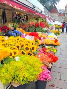 Flower Market Tallinn Estonia photo
