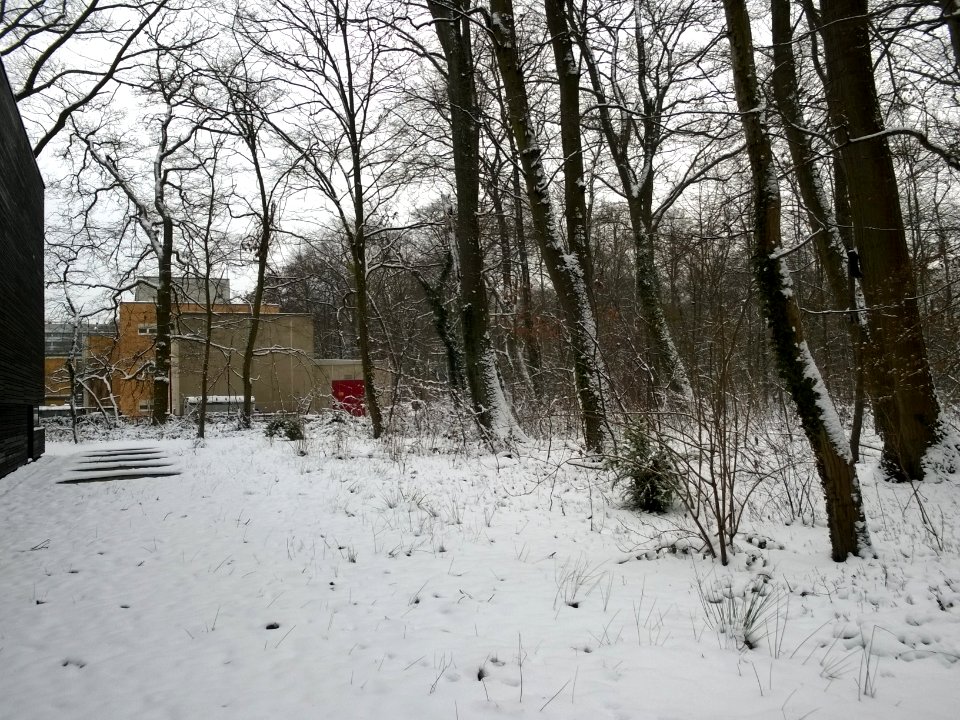 Nachschlag Schnee II