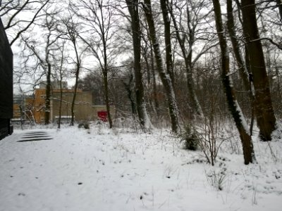 Nachschlag Schnee II