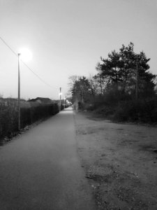 20150509 DSC 0066-001
