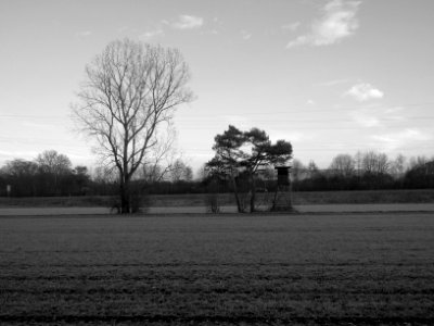 Sichtfeld
