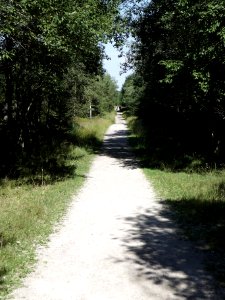 P1020403