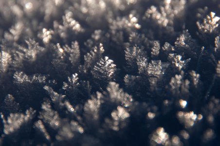 Hoar Frost