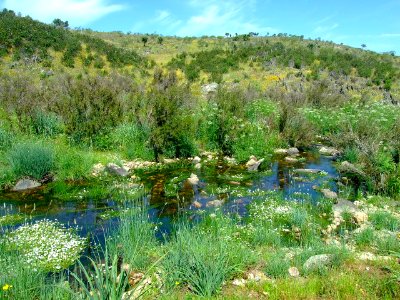 Ribera de Membrío (Cáceres)