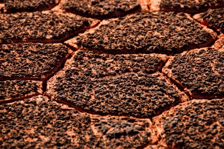 Micro-canyonlands formed by cyanobacterial soil crusts. photo