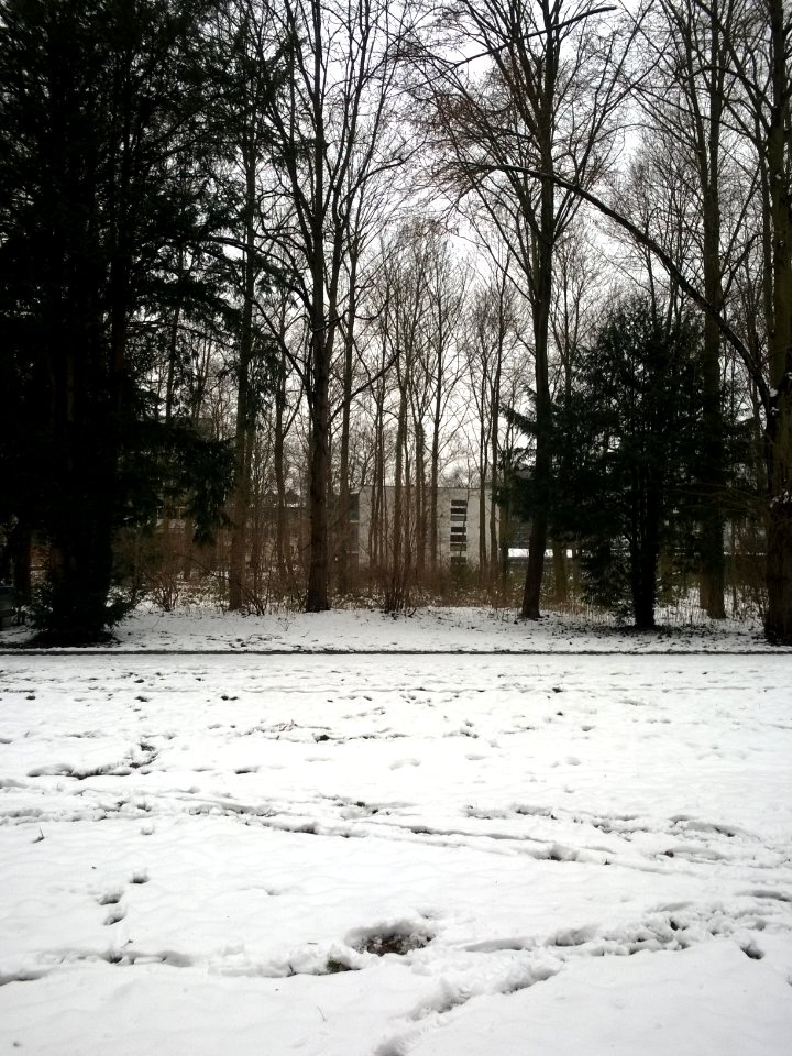 Nachschlag Schnee I