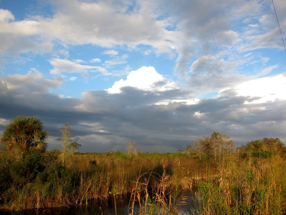 mountains of big cypress