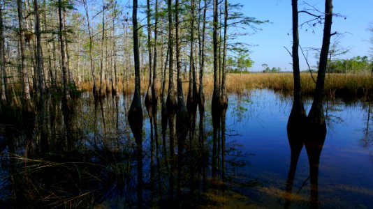 Reflection at Concho Billie