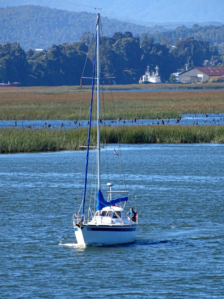 DSC05102