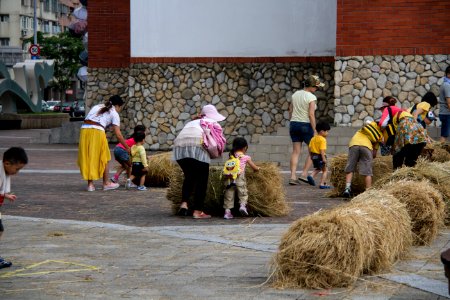 Hay rolling competition