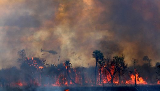 prescribed burn across from HQ