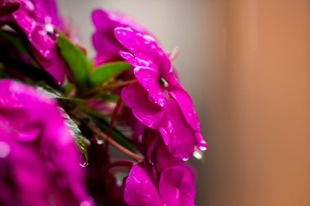 Rainy Day Macro 9